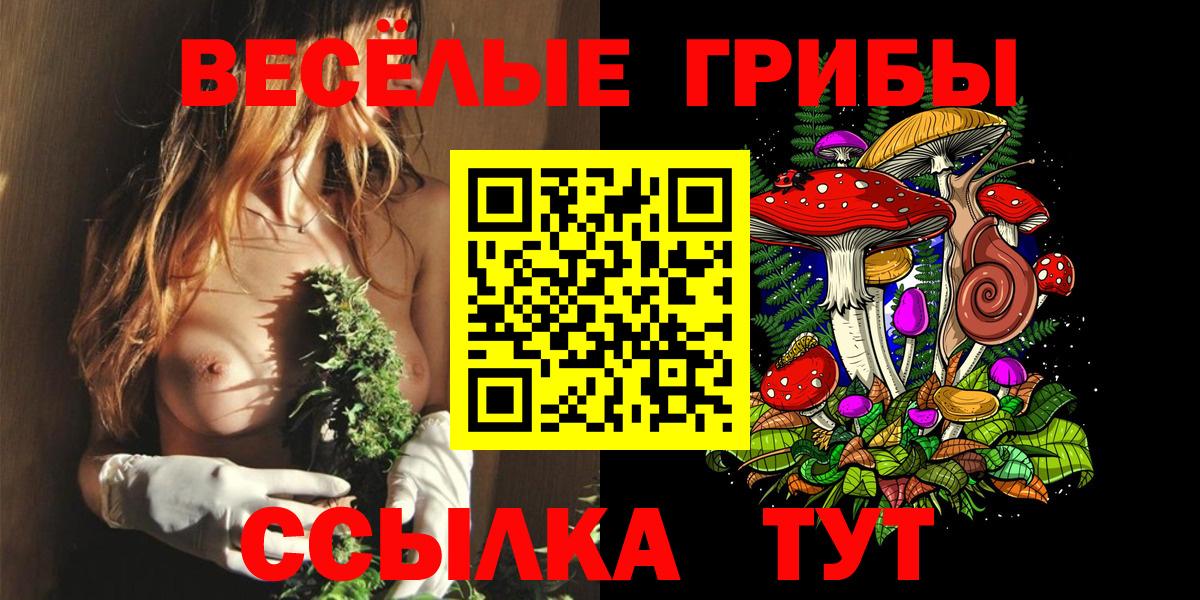 Галлюциногенные грибы Psilocybe  Вход с VPN  Вольск  Галлюциногенные грибы прущие грибы 